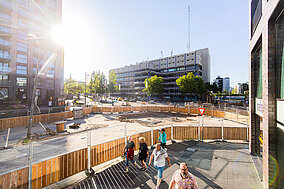 Baustellenabsicherung mit robusten Holzzäunen 