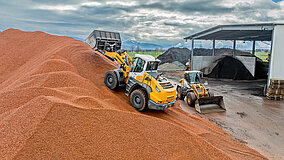 Nachhaltige Verarbeitung von Grüngut