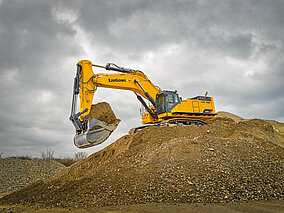 Als Wegbegleiter nachhaltiger Lösungen