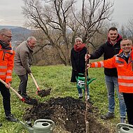 Pate f&uuml;r eine Streuobstwiese in Reutlingen