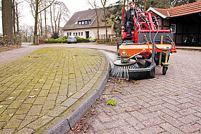 Wildkraut ohne Chemie effektiv beseitigen