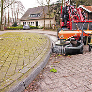 Wildkraut ohne Chemie effektiv beseitigen