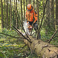 Wenn die St&auml;rke z&auml;hlt