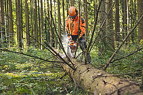Wenn die Stärke zählt