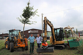Unterstützung beim Aufforsten
