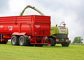 Mankiewicz: Warum in Sachen Lack weniger mehr sein kann