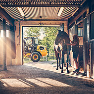 Von Kilowatt und Pferdest&auml;rken 