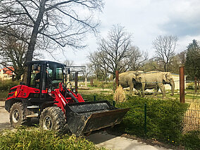 Ein Allrounder für den Augsburger Zoo