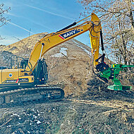 1&thinsp;200 B&auml;ume in nur einer Woche