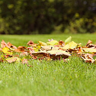Wiedenmann: Wer kehrt, macht nichts verkehrt!
