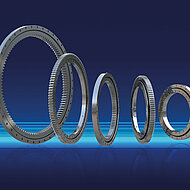 Gro&szlig;w&auml;lzlager sind hart im Nehmen