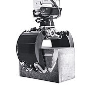 DMS ist ein &raquo;Wachstumschampion&laquo;