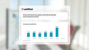 Flottendaten effizienter nutzen mit Webfleet Fleet Advisor