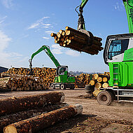 Rundholzverarbeitung im S&auml;gewerk