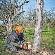 STIHL: Akku-Motors&auml;ge setzt auf Leistung und Ausdauer, der neue Handschuh auf Grip und Touch-Funktion