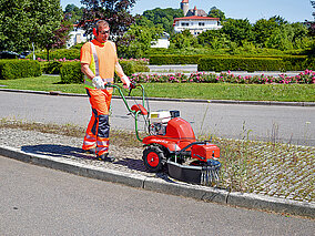 Agria-Werke: Wildkrautbeseitigung ohne Herbizide