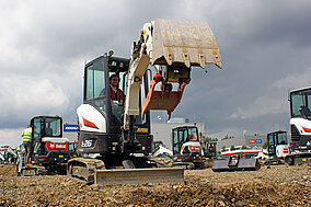 Die Tücken der Teilautonomie