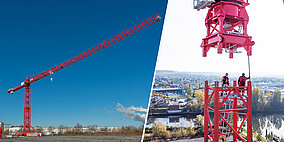 »Leitwolf« und »Rudeltier« in einem Kran