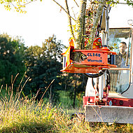 Der kleine Schneidkopf
