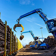 Wo sechs Füchse die Umschlagswelt bewegen