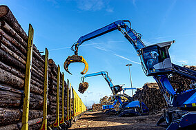 Wo sechs Füchse die Umschlagswelt bewegen