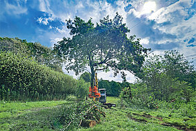 Kompaktbagger verwandelt sich in Fällmaschine