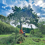 Kompaktbagger verwandelt sich in F&auml;llmaschine