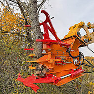 Neue &raquo;Schnitt-Griffy&laquo;- Baumschere bei Wilmers