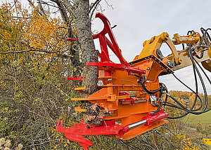 Neue &raquo;Schnitt-Griffy&laquo;- Baumschere bei Wilmers