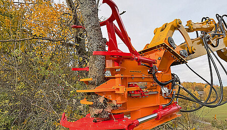 Neue &raquo;Schnitt-Griffy&laquo;- Baumschere bei Wilmers