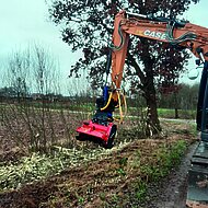 CNH: CX145D SR &uuml;berzeugt im Forsteinsatz  bei Lohnunternehmer Josef Wehage aus Molbergen