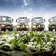 Daimler Truck: Mit insgesamt zw&ouml;lf Unimog f&uuml;r die Transportlogistik bei M&auml;hlmann Gemüsebau