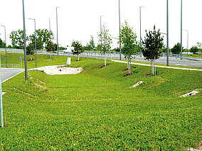 BGL: »Klima- und Hochwasserschutz gibt es nur mit mehr Grün in den Städten!«