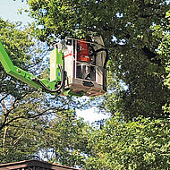 Husqvarna: Construction-Sauger im Einsatz gegen aggressive Raupen