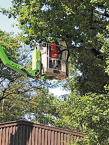 Husqvarna: Construction-Sauger im Einsatz gegen aggressive Raupen