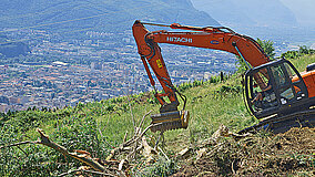 Seppi Mulcher: Tatkräftiger Baggermulcher-Einsatz auf den Almwiesen
