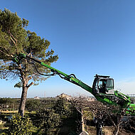 Bestens ger&uuml;stet f&uuml;r Baumf&auml;llungen mit dem 718E