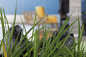  »Adventure« erweitert das Produktportfolio