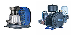 Neuzugänge in der »Blue Air«-Familie