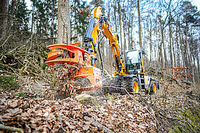Kraftvolle Greifersäge für kleine Bagger 