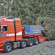 Ein Weihnachtsbaum f&uuml;r Rom