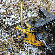 Finnische Baumschere gibt sich gleicherma&szlig;en leicht und stark