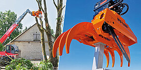 Bäume jederzeit sicher im Griff