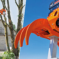 Bäume jederzeit sicher im Griff