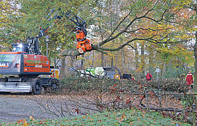 Bei der Baumpflege entscheidet Mobilität