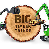 Effiziente L&ouml;sungen f&uuml;r den Holzumschlag