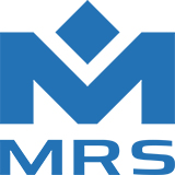 MRS Electronic GmbH & Co. KG