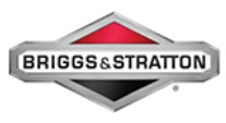 Briggs & Stratton AG